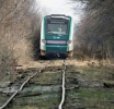 El Tren Temu del Peje